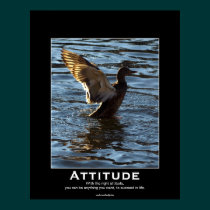 Attitude Mallard Duck Motivational Posters posters