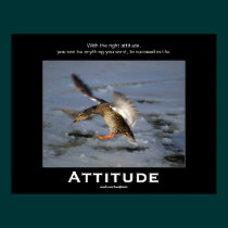Attitude Mallard Duck Motivational Posters posters