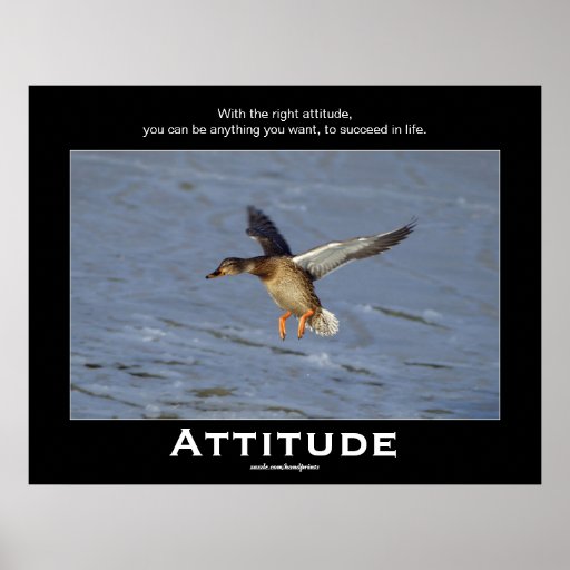 Attitude Mallard Duck Motivational Posters