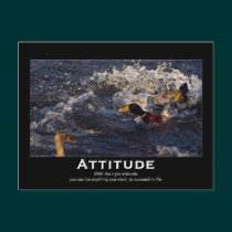 Attitude Mallard Ducks Motivational Postcards postcards