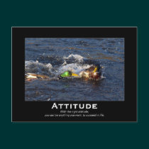 Attitude Mallard Ducks Motivational Postcards postcards