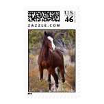 Attitude Postage Stamp