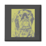 Attitude Puggle Face Fridge Magnets
