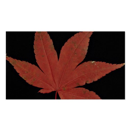 Attractive Japanese maple leaf Business Card (back side)