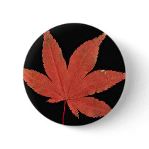Attractive Japanese maple leaf Pinback Buttons