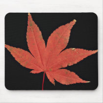 Attractive Japanese maple leaf Mouse Pad