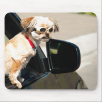 Aubie mousepads