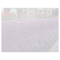 Aubreitta bank with Alyssum saxatile and tulips Custom Letterhead