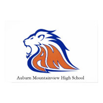 Auburn Mountain View High School posters