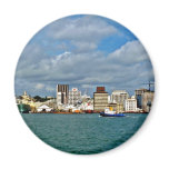 Auckland Fridge Magnet