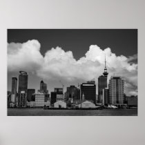 Auckland New Zealand Poster