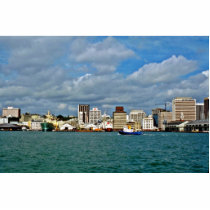 Auckland Photo Cut Outs