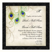 Audrey Jeanne Peacock Feather Black Damask Invite invitations