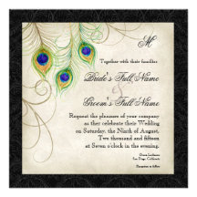 Audrey Jeanne Peacock Feather Black Damask Invite