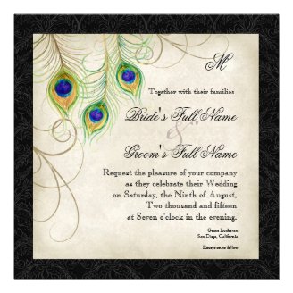 Audrey Jeanne Peacock Feather Black Damask Invite