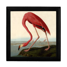 Audubon American Flamingo Trinket Box