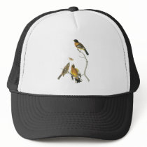 Audubon Black-headed Grosbeak Mesh Hat