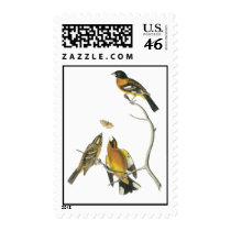 Audubon Black-headed Grosbeak Postage Stamp