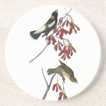 Audubon Bobolink Beverage Coasters