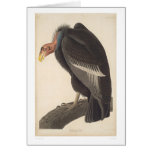 Audubon California Vulture (2609A) Card