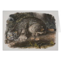 Audubon - Canadian Lynx cards