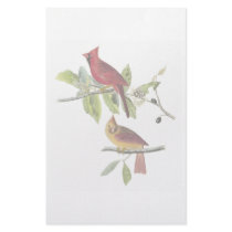 Audubon Cardinal Stationery by DigitalCollageShoppe Audubon Cardinal Stationery