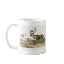 Audubon - Caribou - Reindeer Bookstore Promo mugs