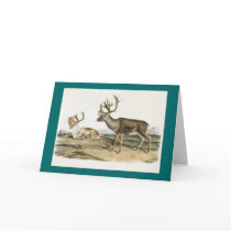 Audubon - Caribou - Reindeer cards