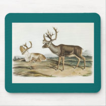 Audubon - Caribou - Reindeer mousepads