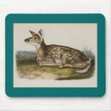 Audubon - Common American Deer - Fawn mousepads by LisasLair Audubon - Common American Deer - Fawn mousepads