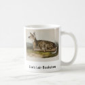 Audubon - Common American Deer - Fawn Promo mugs by LisasLair Audubon - Common American Deer - Fawn Promo mugs