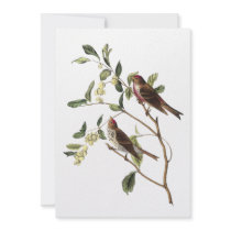 Audubon Common Redpole Personalized Invitation