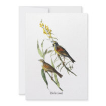 Audubon Dickcissel Personalized Invite