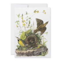 Audubon Eastern Meadowlard Custom Invitation