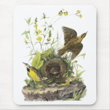 Audubon Eastern Meadowlard Mouse Pads