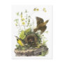 Audubon Eastern Meadowlard Postcard