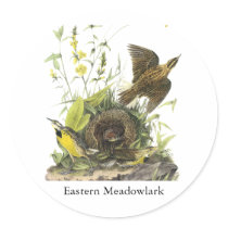 Audubon Eastern Meadowlard Stickers