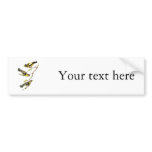 Audubon Evening Grosbeak Bumper Sticker