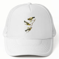 Audubon Evening Grosbeak Hats