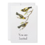 Audubon Evening Grosbeak Announcement