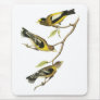 Audubon Evening Grosbeak Mouse Pad