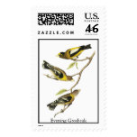 Audubon Evening Grosbeak Stamps