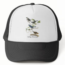 Audubon Indigo Bunting Print Mesh Hats
