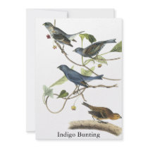 Audubon Indigo Bunting Print Custom Invites