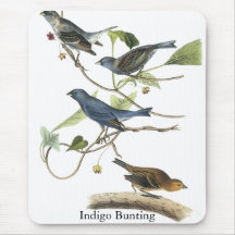 Audubon Indigo Bunting Print Mousepads