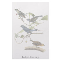 Audubon Indigo Bunting Print Stationery