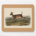 Audubon - Long-Tailed Deer mousepads by LisasLair Audubon - Long-Tailed Deer mousepads