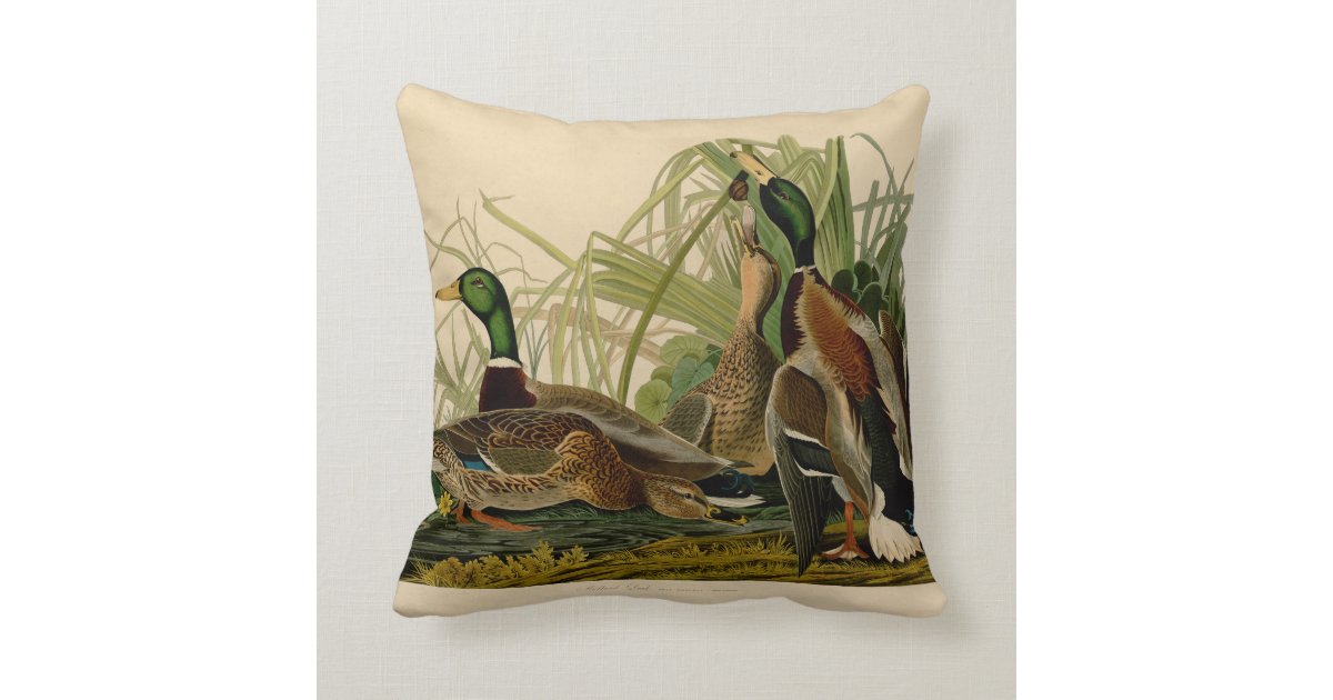 Audubon Mallard duck Bird Vintage Print Throw Pillow Zazzle