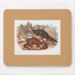 Audubon - Mink Mouse Mat