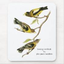 Audubon Mousepad #3 Evening Grosbeak